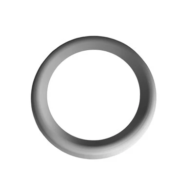 0200-00137 Focus Ring Ceramic DPS