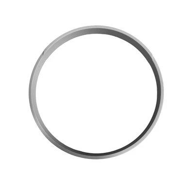 0200-39274 SACVD Ceramic Pumping Ring