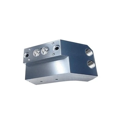 0020-34736 DxZ Gas Manifold Input