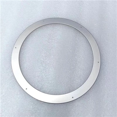 0021-35749 Ring, Isolator TXZ, 200 Mm, REFURBISHED