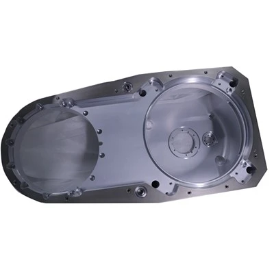 0021-36743 Dps Poly Lower Chamber